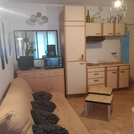 F 2 Vue Sur Montagne * Cauterets