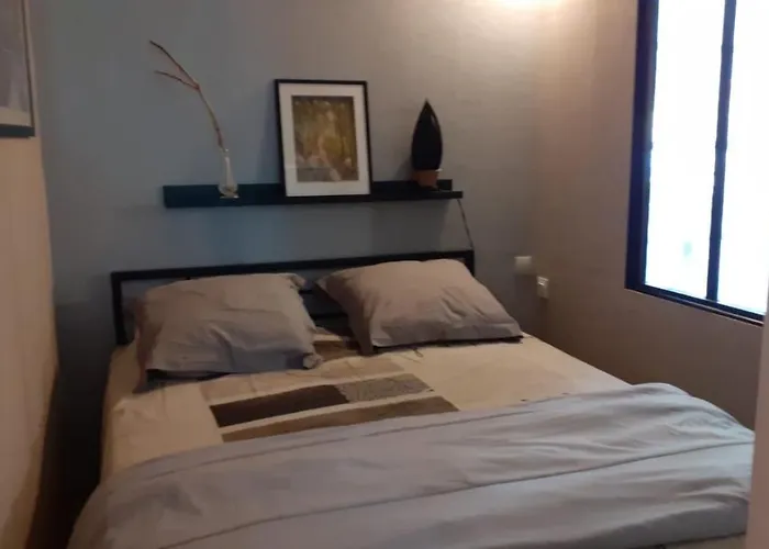 公寓 F 2 Vue Sur Montagne *